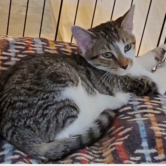 Posh Ambassador for Jane Iredale 🥰 - Picture 7 of 16